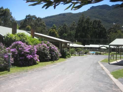 Halls Gap Log Cabins Exterior photo